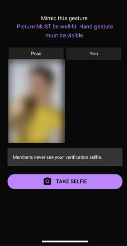 more-than-one how it works